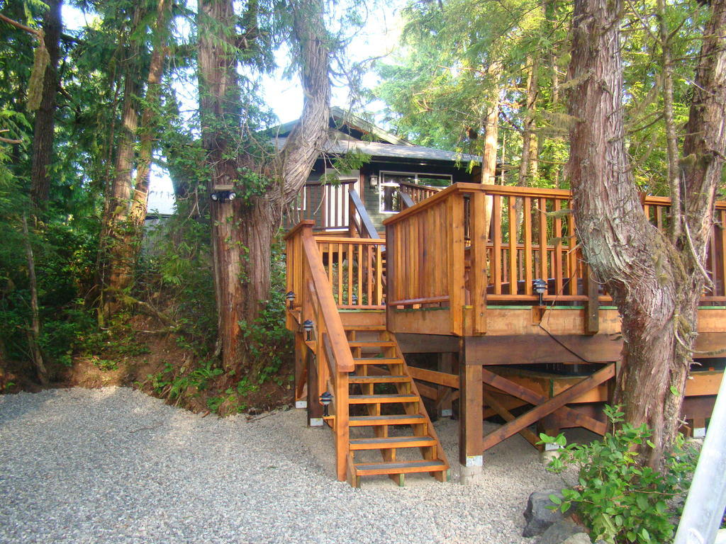 فيلا Tofino Forest View Cabin By Cox Bay الغرفة الصورة